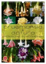 Brugmansia & Datura - Exotische Schönheiten (Wandkalender 2024 DIN A3 hoch), CALVENDO Monatskalender