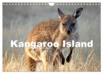 Kangaroo Island (Wandkalender 2024 DIN A4 quer), CALVENDO Monatskalender