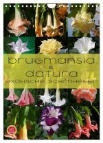 Brugmansia & Datura - Exotische Schönheiten (Wandkalender 2024 DIN A4 hoch), CALVENDO Monatskalender