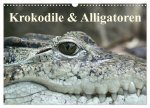 Krokodile & Alligatoren (Wandkalender 2024 DIN A3 quer), CALVENDO Monatskalender