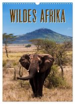 Wildes Afrika (Wandkalender 2024 DIN A3 hoch), CALVENDO Monatskalender