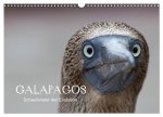 Galapagos (Wandkalender 2024 DIN A3 quer), CALVENDO Monatskalender