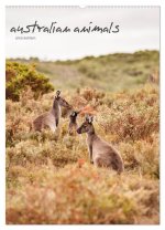 australian animals (Wandkalender 2024 DIN A2 hoch), CALVENDO Monatskalender