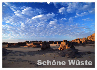 Schöne Wüste (Wandkalender 2024 DIN A2 quer), CALVENDO Monatskalender
