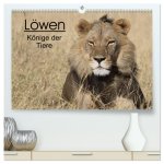 Löwen - Könige der Tiere (hochwertiger Premium Wandkalender 2024 DIN A2 quer), Kunstdruck in Hochglanz