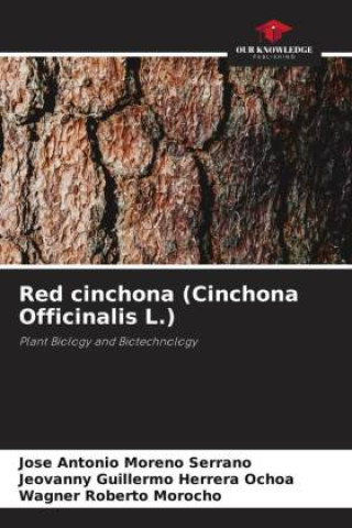 Red cinchona (Cinchona Officinalis L.)