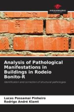 Analysis of Pathological Manifestations in Buildings in Rodeio Bonito-R