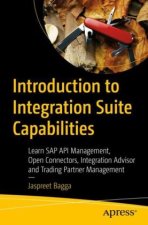 Introduction to Integration Suite Capabilities