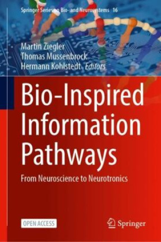 Bio-Inspired Information Pathways
