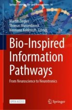 Bio-Inspired Information Pathways