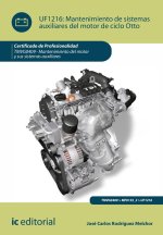 Mantenimiento de sistemas auxiliares del motor de ciclo Otto. TMVG0409 - Mantenimiento del motor y s