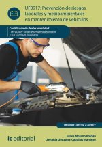 PREVENCION DE RIESGOS LABORALES Y MEDIOAMBIENTALES EN MANTEN