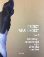 CRISIS? WHAT CRISIS? CAP. 3 INTIMIDADES, SUBJETIVIDADES Y
