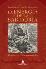 LA ENERGIA DE LA SABIDURIA