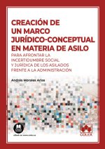 CREACION DE UN MARCO JURIDICO CONCEPTUAL EN MATERIA DE ASIL