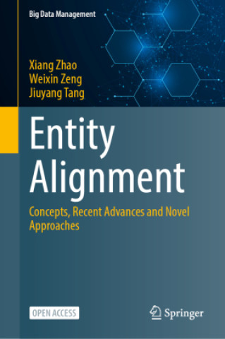 Entity Alignment