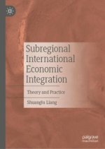 Theory and Practice of Sub-regional International Economic Integration