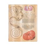Carnet Flexis Lys & Tomate - Ultra - Non ligné - 176 p.