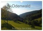 Odenwald - Romantischer Spaziergang (Wandkalender 2024 DIN A4 quer), CALVENDO Monatskalender