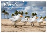 Florida - Sonne, Strände und Naturparks (Wandkalender 2024 DIN A3 quer), CALVENDO Monatskalender