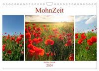 MohnZeit (Wandkalender 2024 DIN A4 quer), CALVENDO Monatskalender