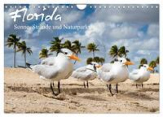 Florida - Sonne, Strände und Naturparks (Wandkalender 2024 DIN A4 quer), CALVENDO Monatskalender