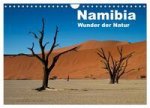 Namibia - Wunder der Natur (Wandkalender 2024 DIN A4 quer), CALVENDO Monatskalender