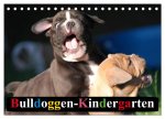 Bulldoggen-Kindergarten (Tischkalender 2024 DIN A5 quer), CALVENDO Monatskalender