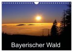Bayerischer Wald (Wandkalender 2024 DIN A4 quer), CALVENDO Monatskalender