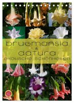 Brugmansia & Datura - Exotische Schönheiten (Tischkalender 2024 DIN A5 hoch), CALVENDO Monatskalender
