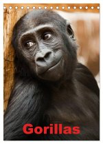 Gorillas (Tischkalender 2024 DIN A5 hoch), CALVENDO Monatskalender