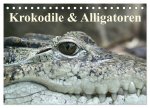 Krokodile & Alligatoren (Tischkalender 2024 DIN A5 quer), CALVENDO Monatskalender