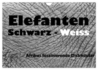Elefanten Schwarz - Weiss (Wandkalender 2024 DIN A4 quer), CALVENDO Monatskalender