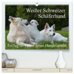 Weißer Schweizer Schäferhund - Ein Tag im Leben einer Hundefamilie (hochwertiger Premium Wandkalender 2024 DIN A2 quer), Kunstdruck in Hochglanz