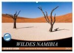 Wildes Namibia (Wandkalender 2024 DIN A2 quer), CALVENDO Monatskalender
