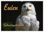Eulen (Wandkalender 2024 DIN A2 quer), CALVENDO Monatskalender