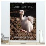Nandu, Emu & Co. (hochwertiger Premium Wandkalender 2024 DIN A2 hoch), Kunstdruck in Hochglanz