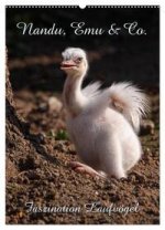 Nandu, Emu & Co. (Wandkalender 2024 DIN A2 hoch), CALVENDO Monatskalender