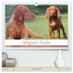 Magyar Vizsla - Vielseitiger Jagdhund mit Familienanschluss (hochwertiger Premium Wandkalender 2024 DIN A2 quer), Kunstdruck in Hochglanz