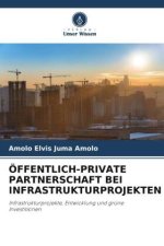 ÖFFENTLICH-PRIVATE PARTNERSCHAFT BEI INFRASTRUKTURPROJEKTEN