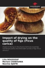 Impact of drying on the quality of figs (Ficus carica)