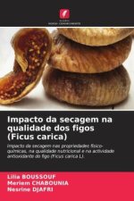 Impacto da secagem na qualidade dos figos (Ficus carica)
