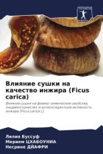 Vliqnie sushki na kachestwo inzhira (Ficus carica)