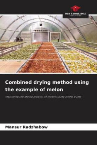Combined drying method using the example of melon