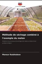 Méthode de séchage combiné à l'exemple du melon