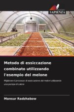 Metodo di essiccazione combinato utilizzando l'esempio del melone