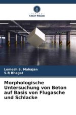 Morphologische Untersuchung von Beton auf Basis von Flugasche und Schlacke