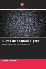 Curso de economia geral