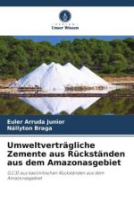 Umweltverträgliche Zemente aus Rückständen aus dem Amazonasgebiet