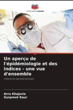 Un aperçu de l'épidémiologie et des indices - une vue d'ensemble